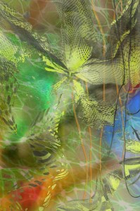 1901272Untitledyellowpinch